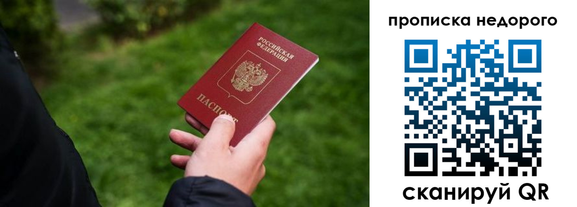 временная регистрация поиск в Новоузенске
